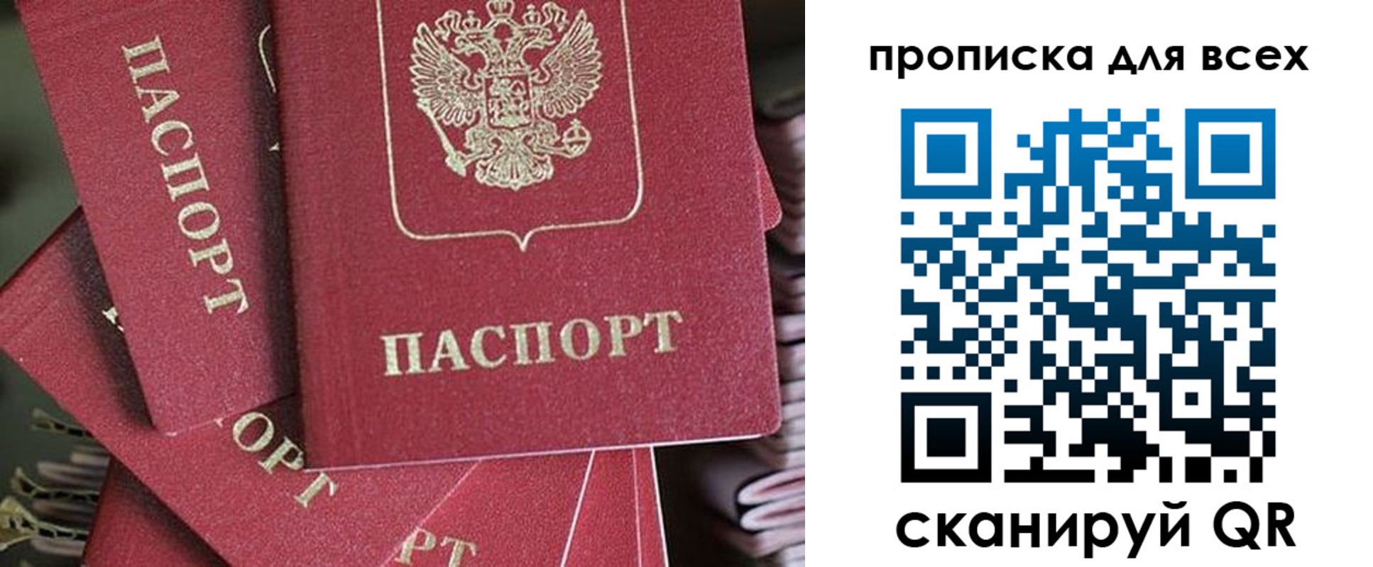 временная регистрация 2025 в Светлогорске
